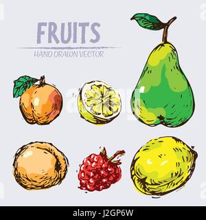 Digitale Vektor Farbe detaillierte handgezeichnete Retro-Abbildung Sammlung Fruchtansatz. Dünne lineare Kunststift Gliederung. Vintage Tinte flachen Stil, Gravieren Stock Vektor