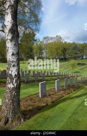 Grabsteine auf dem deutschen Soldatenfriedhof in Cannock Chase. Staffordshire Stockfoto