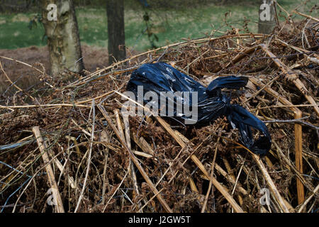 Müllbeutel Hund links seitlich der Fußweg auf Cannock Chase. Staffordshire. UK Stockfoto