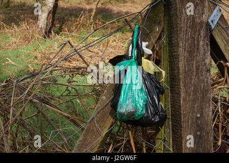 Müllbeutel Hund links seitlich der Fußweg auf Cannock Chase. Staffordshire. UK Stockfoto