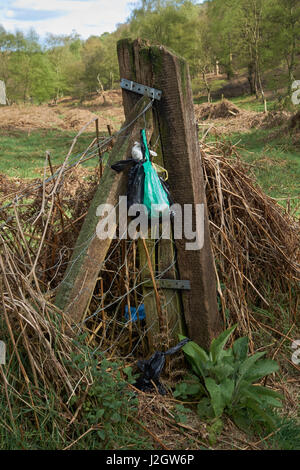 Müllbeutel Hund links seitlich der Fußweg auf Cannock Chase. Staffordshire. UK Stockfoto