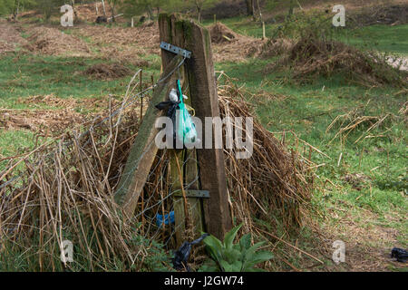 Müllbeutel Hund links seitlich der Fußweg auf Cannock Chase. Staffordshire. UK Stockfoto