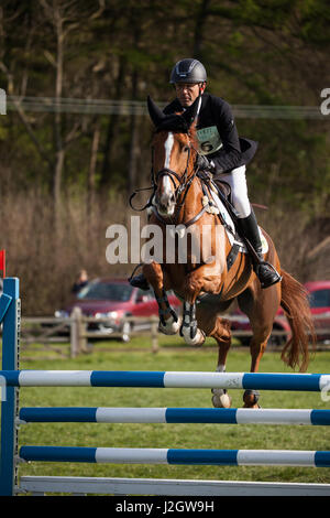 BURNHAM MARKET, NORFOLK/ENGLAND - 15. April 2017: Burnham Markt International Horse Trials 2017 Bill Levett cross Country event Stockfoto