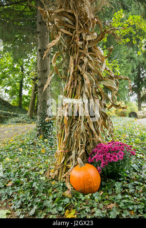 Pittsburg, PA. USA. Fallen Sie auf dem Bauernhof. Stockfoto