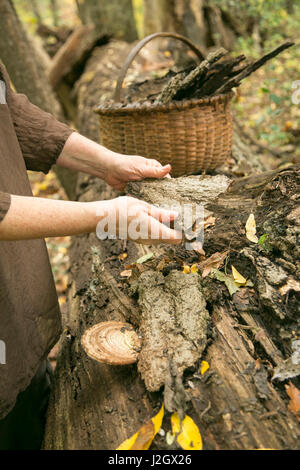 Pittsburg, PA. USA. Fallen Sie auf dem Bauernhof. Stockfoto