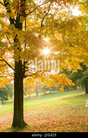 Pittsburg, PA. USA. Fallen Sie auf dem Bauernhof. Stockfoto