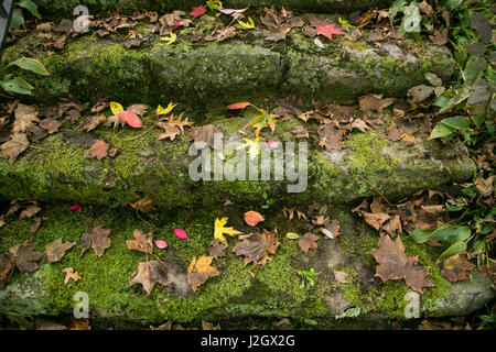 Pittsburg, PA. USA. Fallen Sie auf dem Bauernhof. Stockfoto