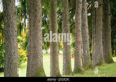 Pittsburg, PA. USA. Fallen Sie auf dem Bauernhof. Stockfoto