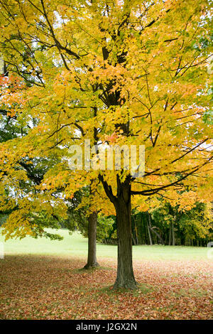 Pittsburg, PA. USA. Fallen Sie auf dem Bauernhof. Stockfoto