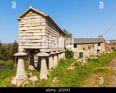 Horreo, ein typisches Essen und Lagerung von Getreide in der Region spanischen Galicien. Stockfoto