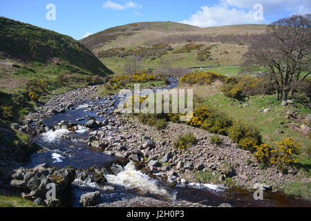 Carey Burn, Cheviots, Northumberland Stockfoto