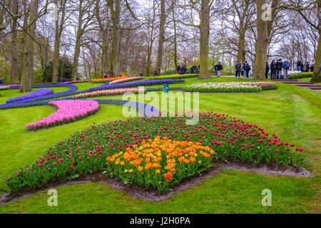 Tuilps und andere Blumen in Keukenhof Park, Lisse, Holland, Niederlande Stockfoto