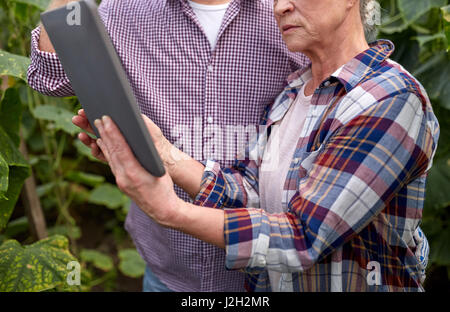 Älteres Paar mit Tablet-pc am Bauernhof Gewächshaus Stockfoto