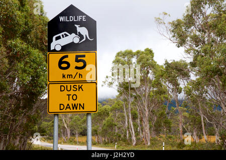 Tierwelt-Warnung Geschwindigkeit Zeichen, Tasmanien, Australien Stockfoto