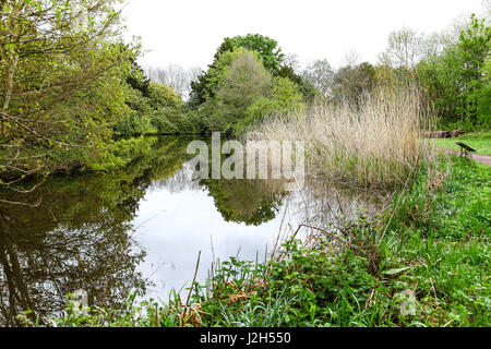 Zentrum der Wolseley, Staffordshire Wildlife Trust HQ bei Wolseley Bridge, Rugeley, Staffordshire, England, Vereinigtes Königreich Stockfoto