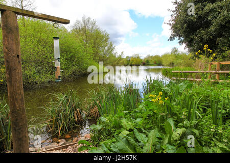 Zentrum der Wolseley, Staffordshire Wildlife Trust HQ bei Wolseley Bridge, Rugeley, Staffordshire, England, Vereinigtes Königreich Stockfoto