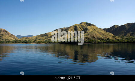 Küste von Bergen mit grüner Vegetation spiegelt sich im blauen Ozeanwasser in Labuan Bajo auf Flores, Indonesien. Stockfoto