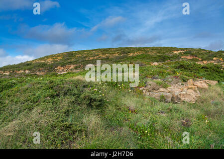 Kiesweg in den Himmel. grüne Hügel gegen den blauen Himmel trübe. Stockfoto