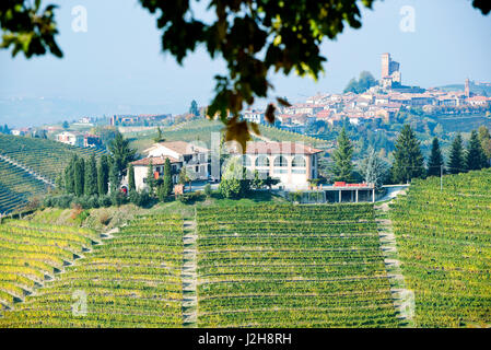 Italien, Piemont, Panorama der Weinberge in Langa Stockfoto