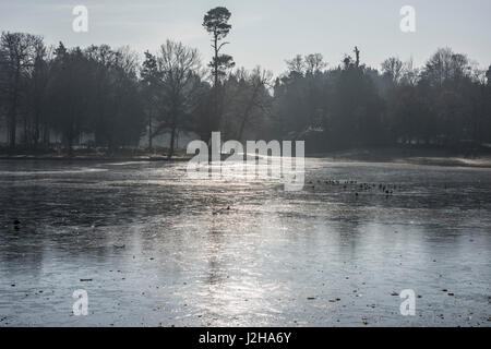 Gefrorenen See Winter Bäume, Surrey, Großbritannien Stockfoto