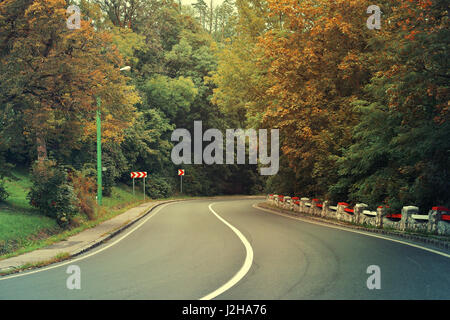 Kurvenreiche Asphalt Straße Weg Gehweg in der Natur Stockfoto