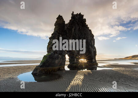 Hvítserkur, 15 m hohen Basalt Meer Stack entlang der Ostküste der Halbinsel Vatnsnes, Nordwesten Islands Stockfoto