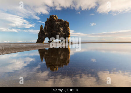 Hvítserkur, 15 m hohen Basalt Meer Stack entlang der Ostküste der Halbinsel Vatnsnes, Nordwesten Islands Stockfoto