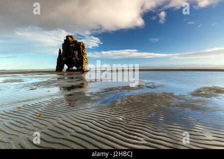 Hvítserkur, 15 m hohen Basalt Meer Stack entlang der Ostküste der Halbinsel Vatnsnes, Nordwesten Islands Stockfoto