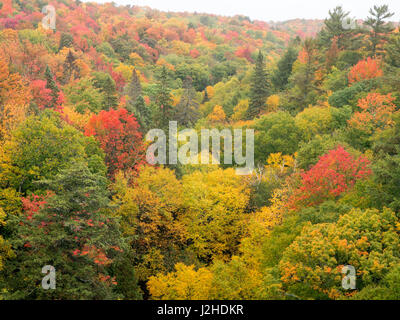 USA, Michigan, Upper Peninsula. Tal unterhalb der Cut-River-Brücke mit Lake Michigan auf der anderen Seite der Brücke. Stockfoto