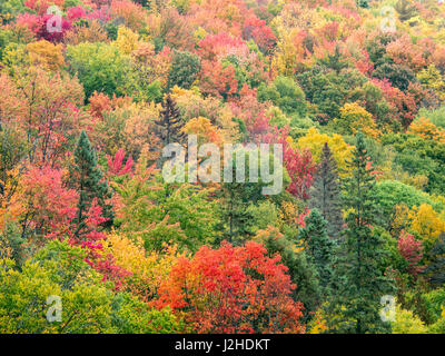 USA, Michigan, Upper Peninsula. Tal unterhalb der Cut-River-Brücke mit Lake Michigan auf der anderen Seite der Brücke. Stockfoto