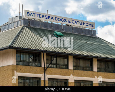 Battersea Hunde und Katzen zu Hause, London, UK. Stockfoto