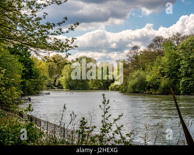 Battersea Park im Stadtteil Wandsworth, Südufer der Themse, London, UK. Stockfoto