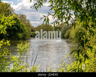 Battersea Park im Stadtteil Wandsworth, Südufer der Themse, London, UK. Stockfoto