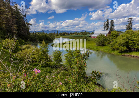 Wilde Rosen und roten Scheune auf dem Whitefish River in der Flathead Valley, Montana, USA (großformatige Größen erhältlich) Stockfoto