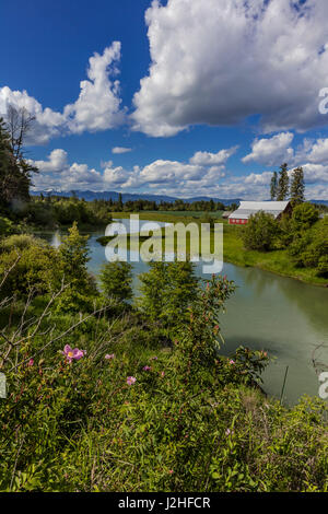 Wilde Rosen und roten Scheune auf dem Whitefish River in der Flathead Valley, Montana, USA (großformatige Größen erhältlich) Stockfoto