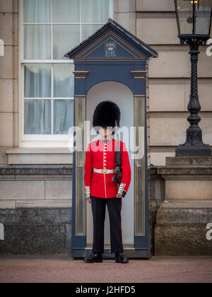 Krieger: der Grenadier Guards gepostet vor Buckingham Palace, London, UK. Stockfoto