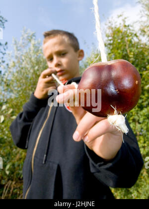 Junge spielt Conkers Stockfoto