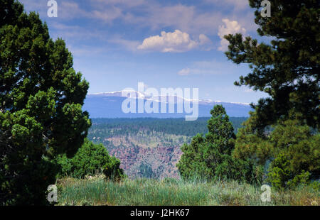 Landschaft, malerische Aussicht mit Blick auf die Heimat der Ute-Indianer auf die Uintah und Ouray Reservierung, Utah. Stockfoto