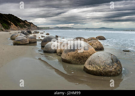 Moeraki Boulders, Runde Felsen am Strand, Küste, Moeraki, Region Otago und Southland, Neuseeland Stockfoto