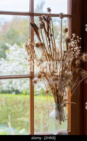 Getrocknete Blumen Samenkapseln auf einer Hütte-Fensterbank. UK Stockfoto