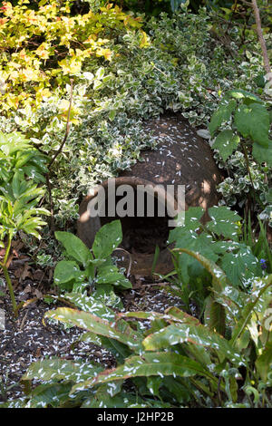 Alte Terracotta Urne in einem Garten für Tiere Unterschlupf verwendet. UK Stockfoto