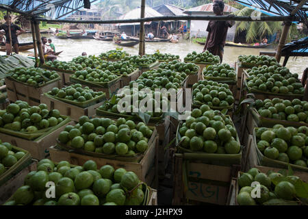 Landwirte verwenden kleine Boote und Guaven auf den schwimmenden Markt in Vimruli in Jhalakathi, Bangladesch Vimruli zu verkaufen. Stockfoto