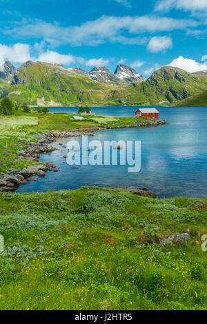 Winzige rote Fischerhaus liegt am Rande des Strandes, in eine kleine Bucht/Ton auf den Lofoten lone. Wildblumen, Berge und lebendige Farben, 2 Stockfoto