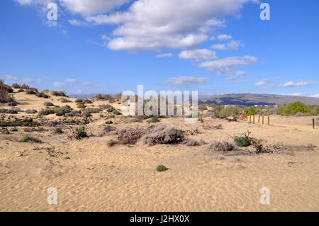 Sandu Dünen von Maspalomas und Bergblick auf Gran Canaria Kanarische Inseln in Spanien Stockfoto