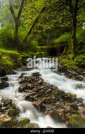 USA, Oregon, Wahkeena fällt. Direkt an der Interstate 84, ist die Columbia River Gorge Scenic Area berühmt für seine Bäche und Wasserfälle. Stockfoto