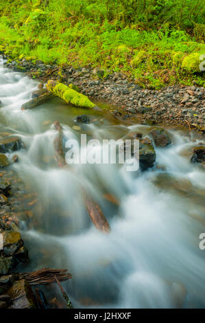 USA, Oregon, Wahkeena fällt. Direkt an der Interstate 84, ist die Columbia River Gorge Scenic Area berühmt für seine Bäche und Wasserfälle. Stockfoto