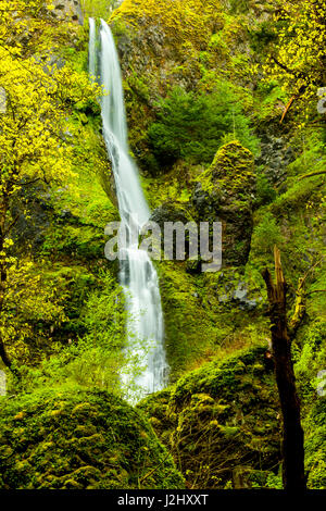 USA, Oregon, Wahkeena fällt. Direkt an der Interstate 84, ist die Columbia River Gorge Scenic Area berühmt für seine Wasserfälle. Stockfoto