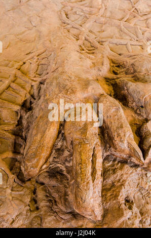 Dinosaur tracks an Dinosaurier Discovery, Farm Johnson, St. George, Utah, USA. Stockfoto