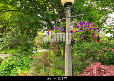 Carl S. English Jr. Botanischer Garten, Hiram M. Chittenden Locks, Ballard Gegend von Seattle, WA Stockfoto