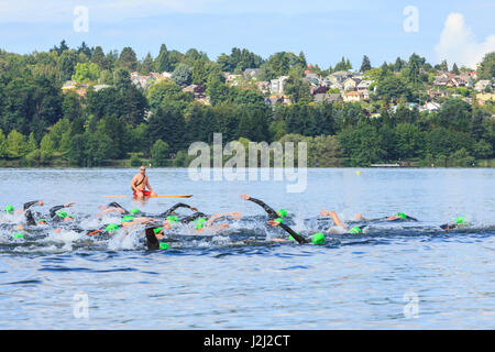 Seattle Park 1,6 offenen Wasser schwimmen, East Beach, Green Lake, Seattle, WA Stockfoto